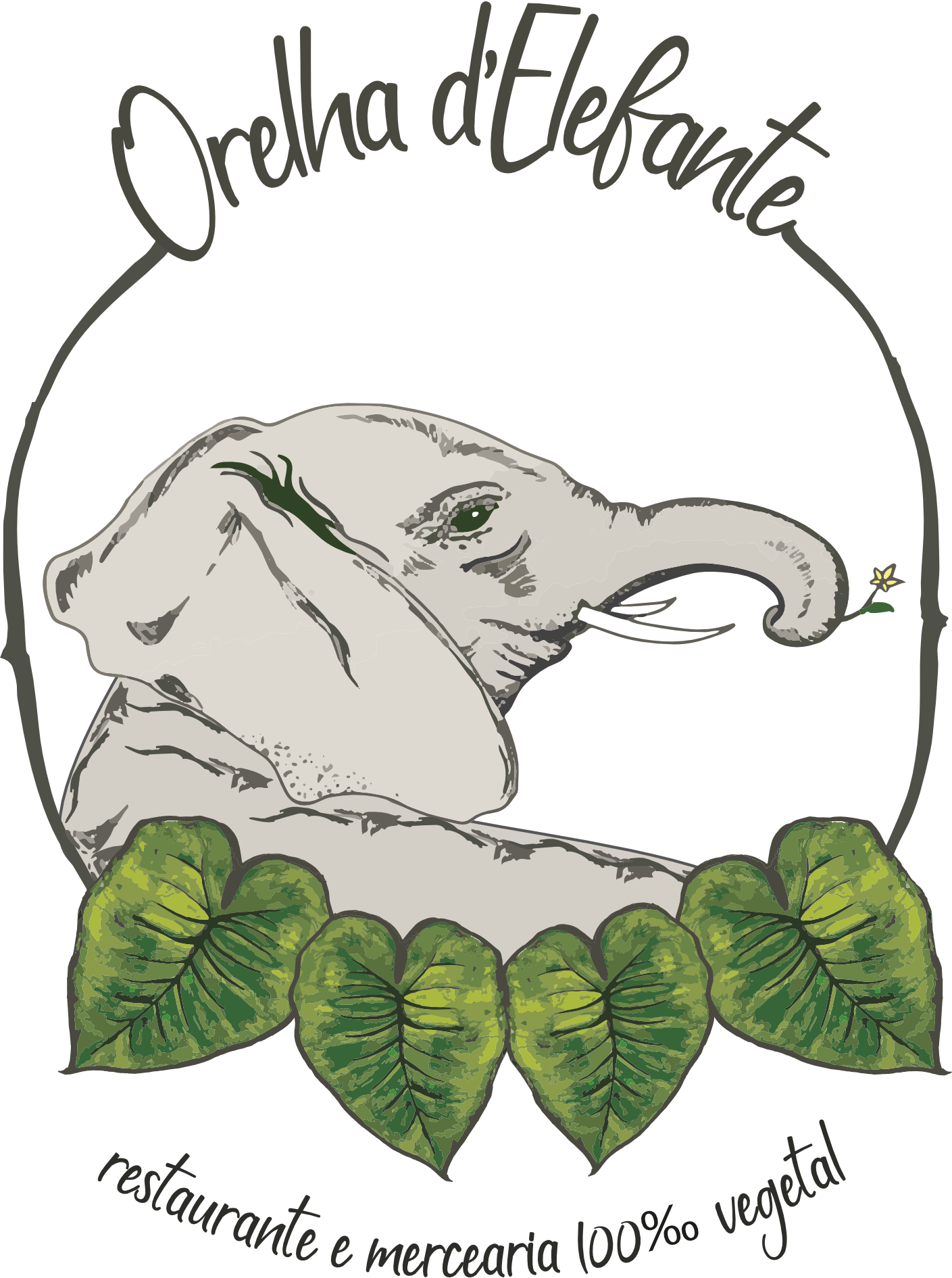 Orelha d'Elefante